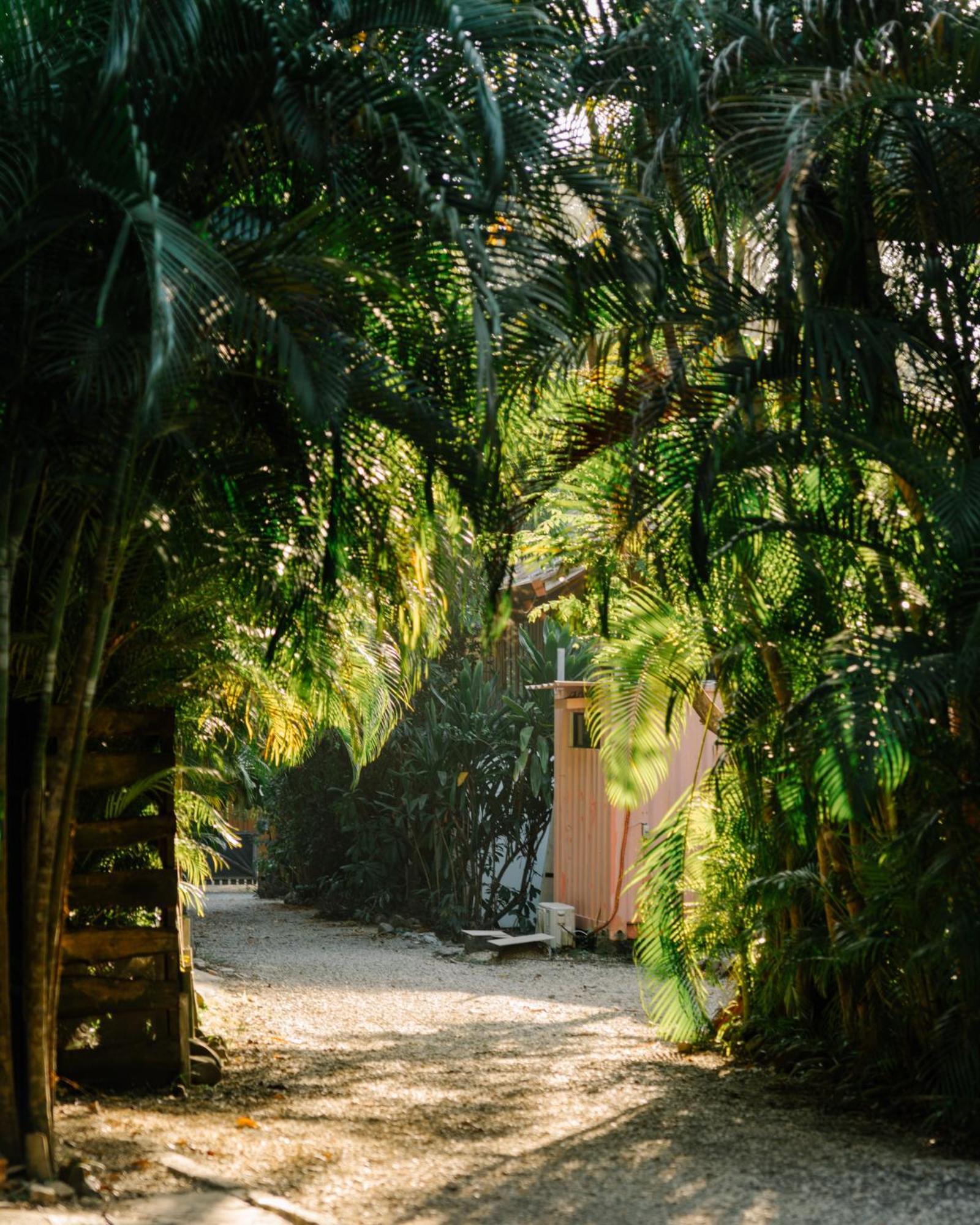 Salty Enthusiasts Share House & Villas Playa Santa Teresa  Exterior foto